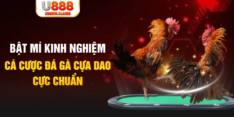 ae888 co trong baccarat, ai là người chia bài chính？