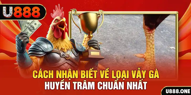 ae888 co Chú hề Patty tuổi teen