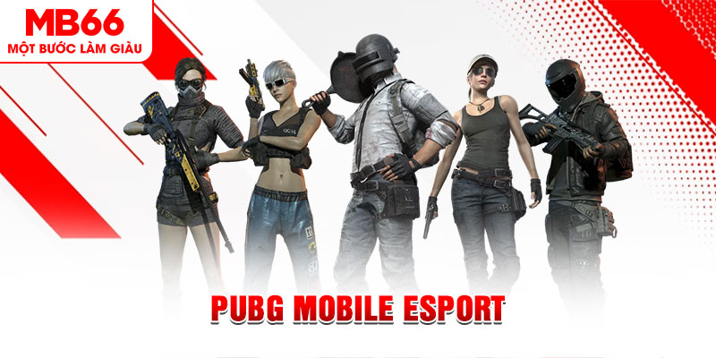 ae888 co gà chọi c1 mới nhất