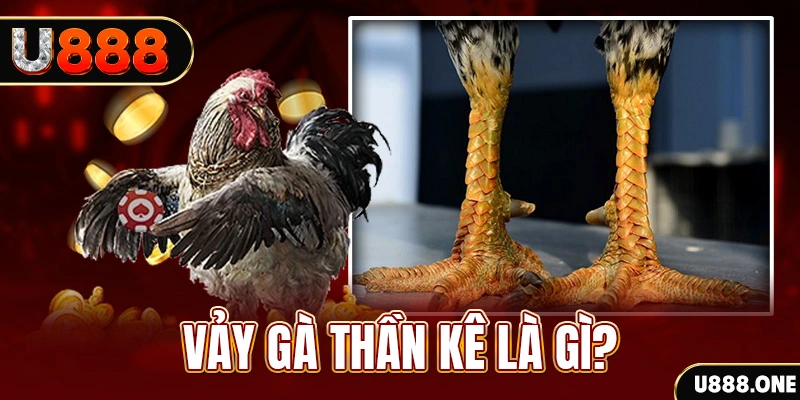 ae888 co xổ số miền bắc thứ tư hàng tuần