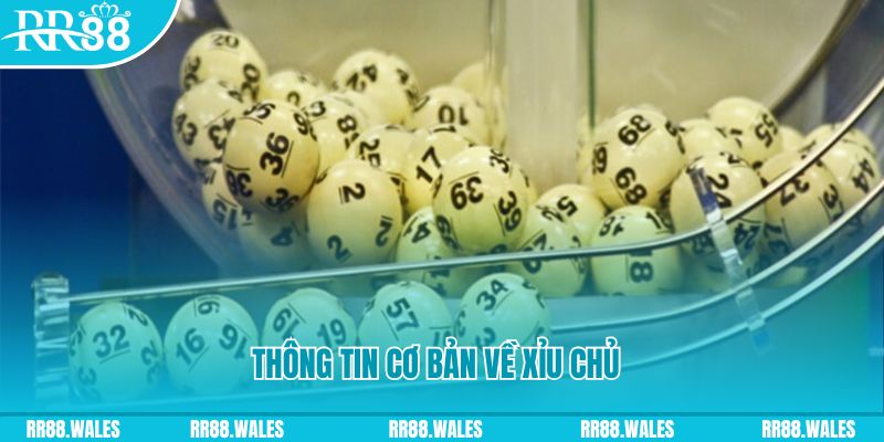 ae888 co baccarat long bảo là gì