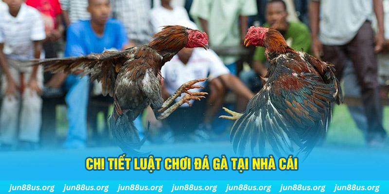 ae888 co đăng nhập sòng bạc uy tín